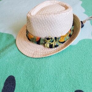 Straw Fedora Hat with Tropical Band For Small/Medium Dogs